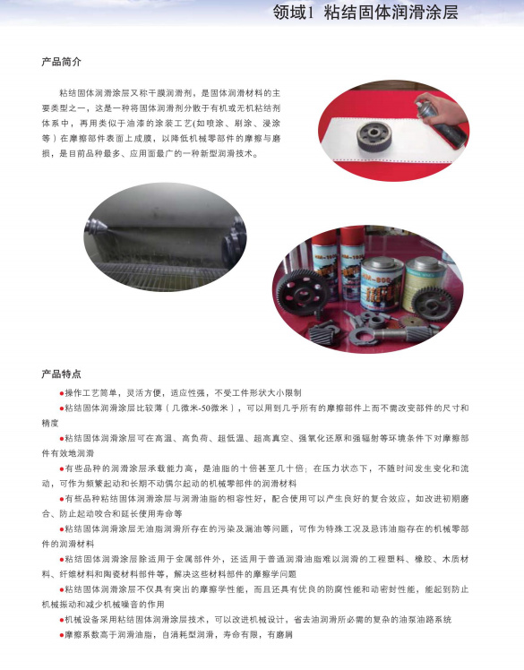 領(lǐng)域占領(lǐng)